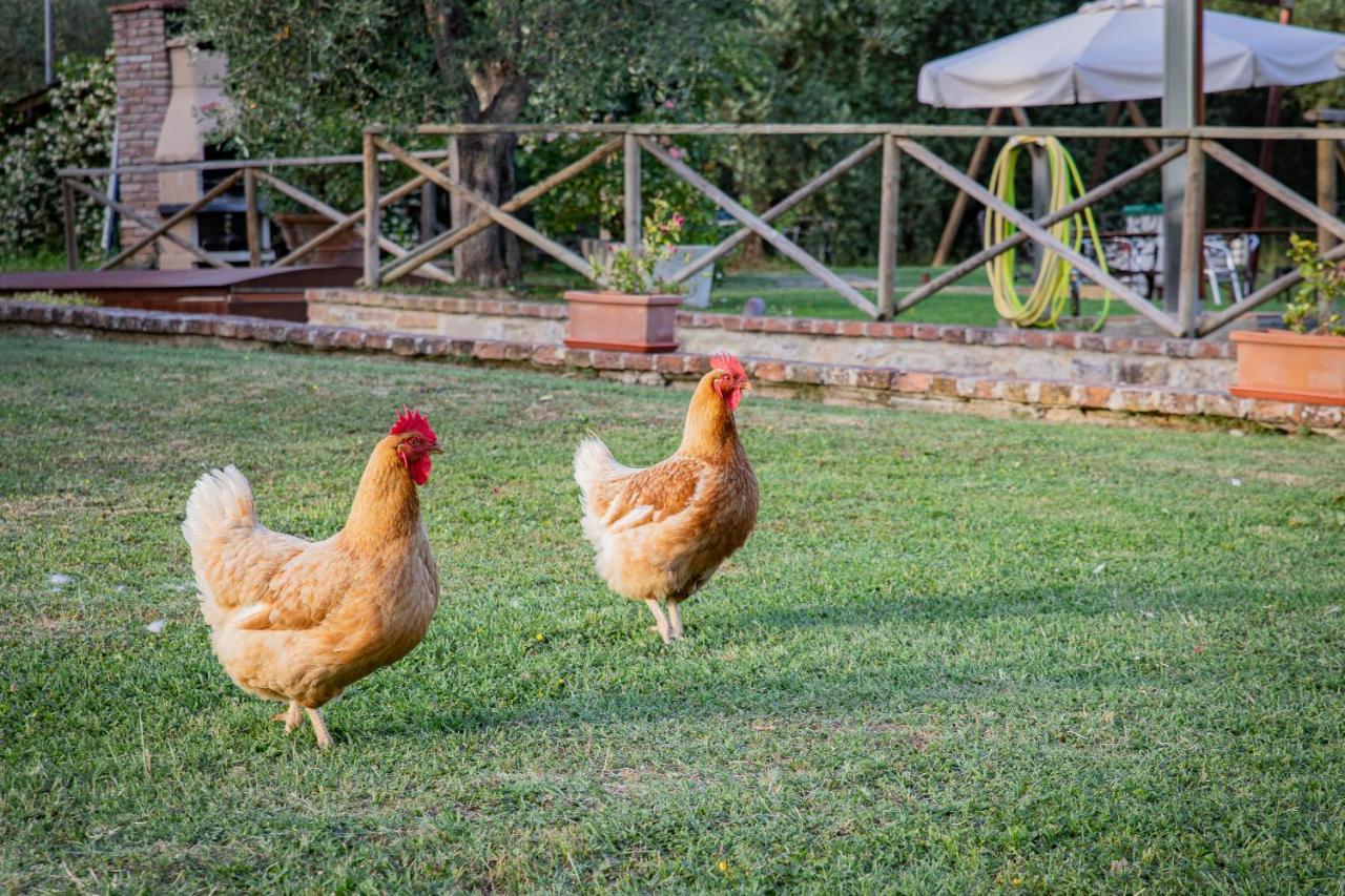 דירות קולה ואל ד'אלזה Fontemaggio מראה חיצוני תמונה